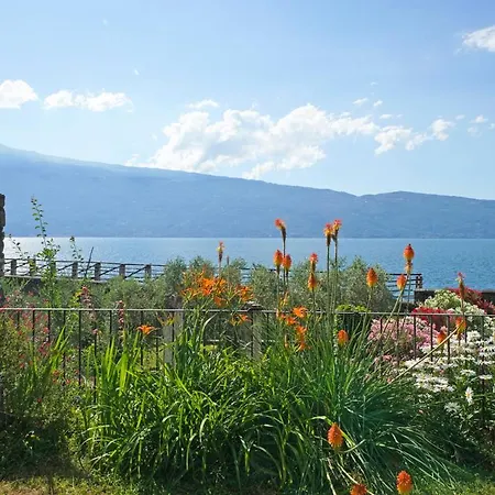 Sleeps 10 With Wifi Muslone